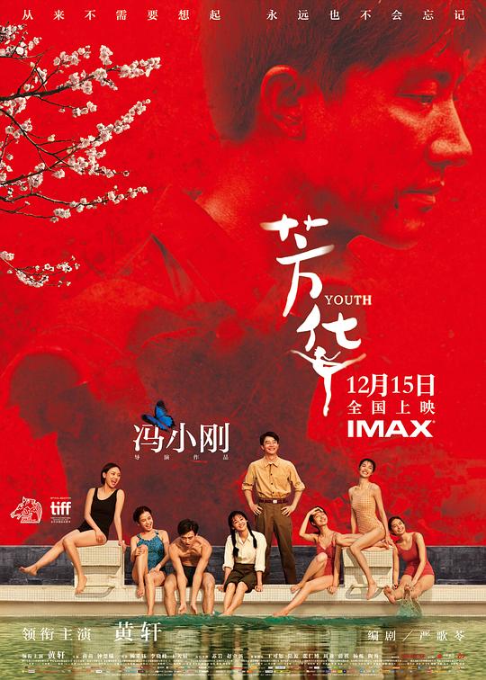 芳华 海报